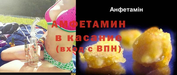 мдпв Инсар