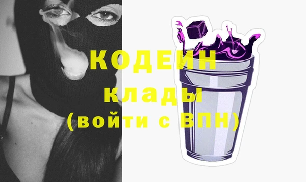 мдпв Инсар