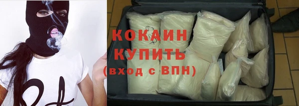 мдпв Инсар