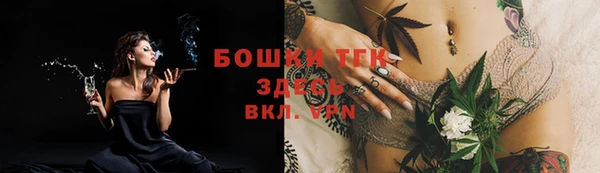 мдпв Инсар