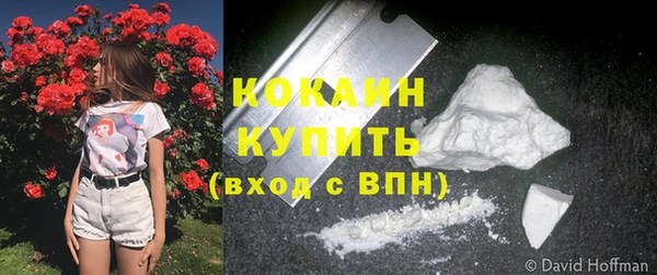 мдпв Инсар