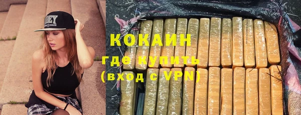мдпв Инсар