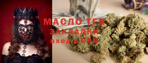 мдпв Инсар