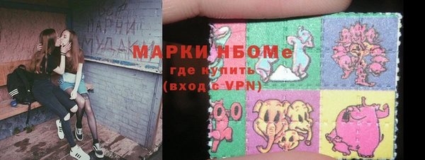 мдпв Инсар