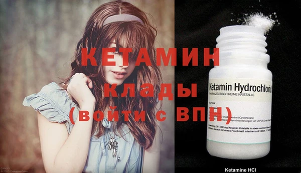 мдпв Инсар