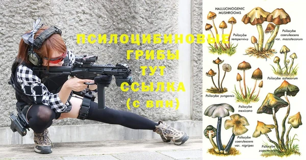 таблы Иннополис