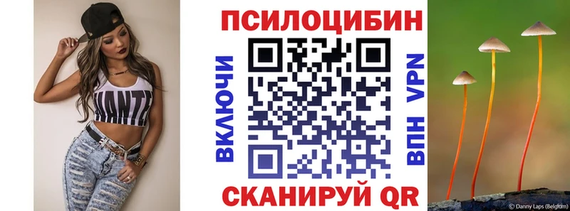Купить закладки  Барабинск  Псилоцибиновые грибы мицелий 